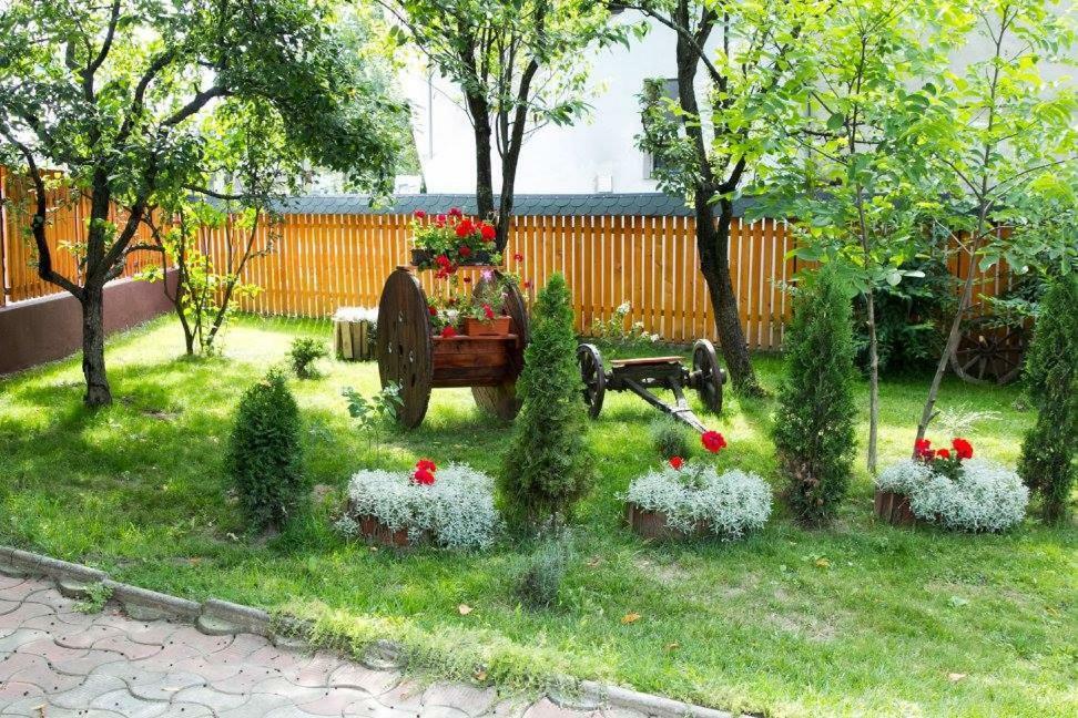 Pensiunea Aurica Tirgu Lapus Exterior foto