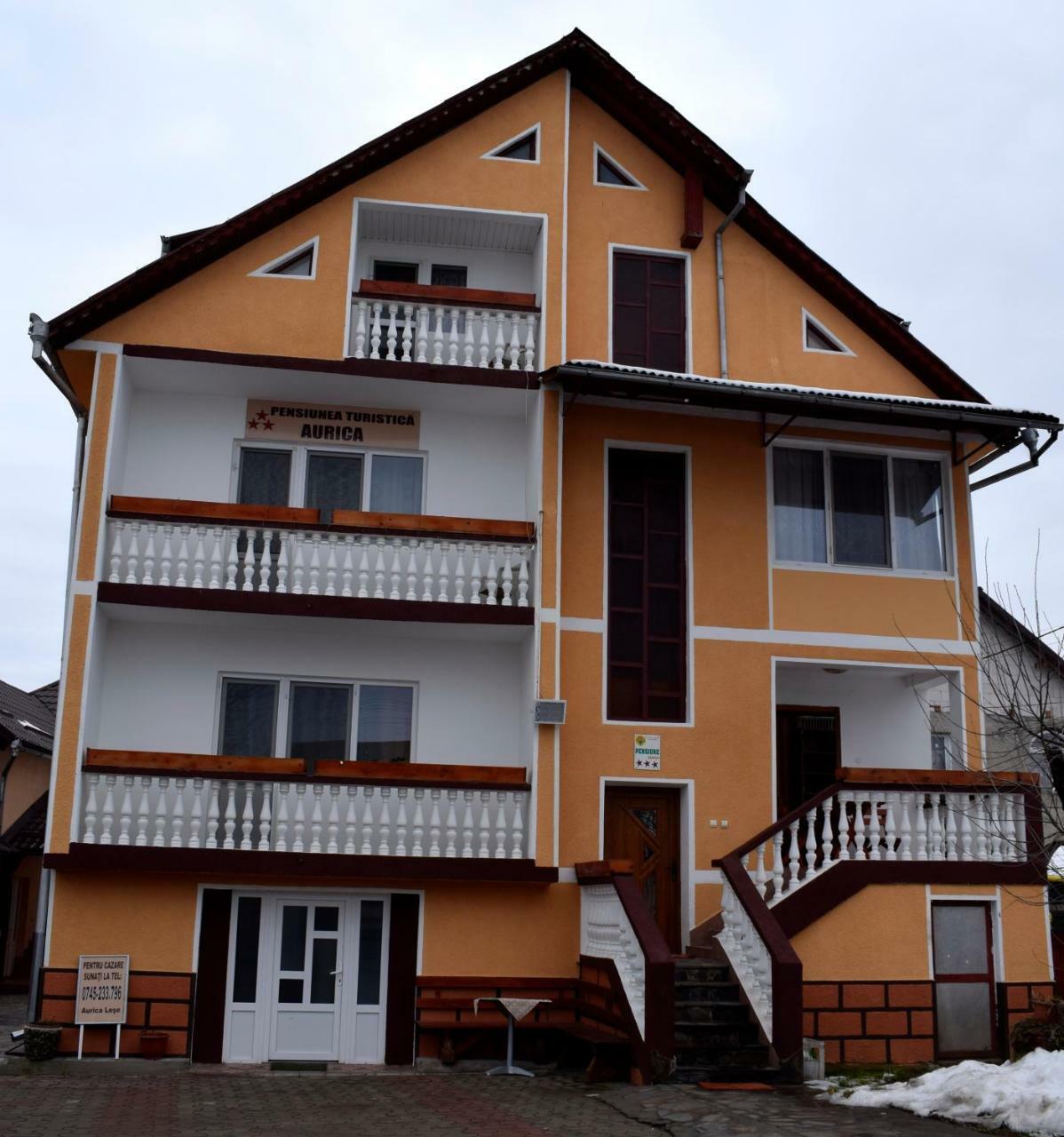 Pensiunea Aurica Tirgu Lapus Exterior foto